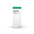 Ceanothus-homaccord Liquidum 30 ml