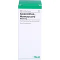 CEANOTHUS-HOMACCORD Liquidum 30 ml PZN00183733