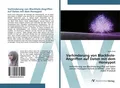Verhinderung von Blackhole-Angriffen auf Daten mit dem Honeypot | Buch | 9786200