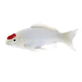 MOJO Farmland Koi Karper - Tancho Koi (Rode stip) 381101