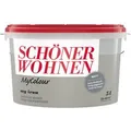 Schöner Wohnen Wand- und Deckenfarbe My Colour My Iron Matt 5,