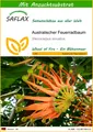 SAFLAX - Samen und Substrat - Australischer Feuerradbaum - 20 Samen