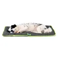 FERPLAST - Tappetino per Cani e Gatti - Cuccia per Cani Lavabile Media - Materassino per Cani - Impermeabile e Antigraffio - Tappetino per Auto, Cucce e Cestini per Cani - Jolly, 83 x 50 CM, NERO