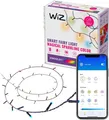 WiZ 20m LED Fairy Light RGBIC Smart Lichterkette Musis Sync In- und Outdoor NEU
