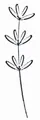 artoz Motivstempel Blume