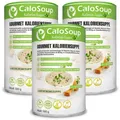 Hochkalorische Suppe für Gewichtszunahme I Nahrung hochkalorisch Gourmet Fertigsuppe mit vielen Kalorien I 20 Portionen CaloSoup (3 Lauchcreme Suppe)