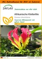SAFLAX Garden in the Bag - Afrikanische Kletterlilie - Gloriosa - 15 Samen