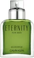 Calvin Klein Eternity for Men Eau de Parfum (EdP) 100 ml Parfüm