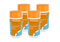 Steinbach Poolpflege Chlorgranulat - 0751201TS - 4X 1 kg - Schnelllöslich - Effektiv - Neutralisierend - auch für Erstdosierung und Schockbehandlung geeignet
