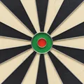 Kings Dart Steeldartscheibe "Professional"