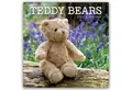 Wandkalender Teddy Bears - Teddybären 2026 - 16-Monatskalender