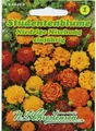 Chrestensen Studentenblume Niedrige Mischung Saat Saatgut 566498