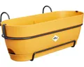 Balkonkasten Elho Vibia Campana Allin1 Kunststoff 50 x 26 x 17 cm honigfarben in
