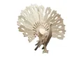 Pebaro 3D-Puzzle Holzbausatz Pfau, 852/1, 59 Puzzleteile