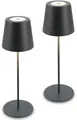 Briloner Leuchten Tischleuchte 2er Set LED Tischlampe kabellos, anthrazit, 2er Set LED Tischlampe kabellos 36x10,5 cm Anthrazit