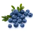 Aroma Blaubeere / Heidelbeere 30+50+100 ml  - Made in Germany!