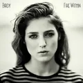 Birdy - Fire Within (Limited Deluxe Edition inkl. Bonustracks)