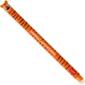 LEGAMI Tiger - Erasable Gel Pen - Ball at the End for Removing Ink - Without Wea