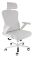 CLOUVOU Bürostuhl Ergonomisch, Schreibtischstuhl bis 150 kg - Testsieger (PowerSeat - Chefsessel für Arbeitszimmer, 5D Gaming Armlehnen), Blade Wheels, Homeoffice, Gaming Stuhl, Drehstuhl), Blade Wheels, Homeoffice, Gaming Stuhl, Drehstuhl