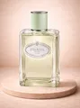 PRADA /LES INFUSION  D´Iris / 100ml /Eau de Parfum / Damen / 100ml /EdP / NEU