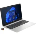 HP Notebook 255 G10 (9G838ES)