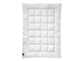 Billerbeck Ganzjahresdecke Alcando Uno, Champagner, Textil, Füllung: Polyester, 135x200 cm, Textiles Vertrauen - Oeko-Tex®, Hohenstein, Made in Germany, für Hausstauballergiker geeignet, temperaturausgleichend, feuchtigkeitsregulierend, strapazierfähig, weich und anschmiegsam, Schlaftextilien, Bettdecken, 4 Jahreszeiten Bettdecken
