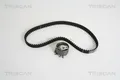 TRISCAN Zahnriemensatz 8647 25031 für RENAULT DACIA NISSAN KANGOO CLIO TWINGO 3