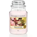 Fresh Cut Roses 623g