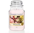 Yankee Candle Duftkerze