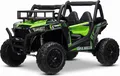 Beneo Motors Elektroauto für kinder 24V UTV, grün, kinder elektroauto 2 sitzer mit 2,4 GHz Ferbedienung, 2 x 200 W Motor, Lithium-Akku, Eva-Räder, gepolsterter Sitz, USB, SD-Karte, elektrofahrzeug kinder ab 3-8 jahre