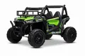 RIRICAR Elektroauto für Kinder Buggy 24V UTV, grün, Kinder elektroauto 2 sitzer mit 2,4 GHz Ferbedienung, 2 x 200 W Motor, Lithium-Akku, Eva-Räder, gepolsterter Sitz, USB, SD-Karte