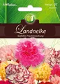 5423570 Landnelken gefüllte Mischung  Nelke Nelken  Samen Saatgut Dianthus