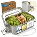 Dimono® Lunchbox Brotdose 550ml Auslaufsichere Bento-Box Brotzeit-Dose aus Edelstahl; Wasserdichte Nachhaltige Dose mit Fächer & Dichtungen