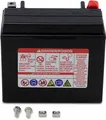 Wartungsfreie AGM-Batterie YUASA 10Ah YTX12(WC)