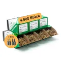 PARCO Spanplattenschrauben Sortiment 4900 Stück – Holzschrauben Set (3x16 mm bis 5x60 mm) mit TX Antrieb & Gelb Verzinkt – Universalschrauben mit Senkkopf – Profi Schraubenset für Holz & Spanplatten