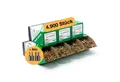 PARCO Schrauben- und Dübel-Set Spanplattenschrauben Sortiment Holzschrauben 1400/4900 Stück, (4900 St), Torx-Antrieb, Rostschutzbeschichtung