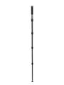 BENRO MMA49C Carbon Einbeinstativ 56 cm gefaltet Tragkraft 20 kg