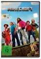 Ein Minecraft Film