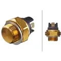 HELLA 6ZT 007 800-041 Temperaturschalter, Kühlerlüfter - 12V - Anschlussanzahl: 2 - Flachstecker - g