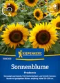 Kiepenkerl Sonnenblumensamen Pradomio 1066300 – Früh blühende, buschig verzweigte Beet- und Schnitt-Sonnenblume - Wildblumensamen, Blumenwiese, Saatgut