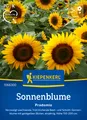Sonnenblume Pradomio Samen von Kiepenkerl