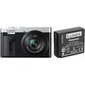 Panasonic Lumix DC-TZ99 silber/schwarz + DMW-BLG10