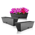 BigDean 3X Blumenkasten Balkon mit Untersetzer - Anthrazit 50 cm Balkonkasten Pflanzkasten Blumenkasten mit Wasserspeicher für Innen- & Außenbereich geeignet - Made in Europe