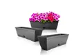 BigDean Blumenkasten 3x Blumenkasten 50 cm mit abnehmbarem Untersetzer Balkonkasten (Set, 3 St., Pflanzkästen), Blumenkasten, Balkonkasten, Pflanzkasten, Mit Untersetzer