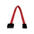 StarTech.com SATA-Verlängerungskabel - SATA-Verlängerungskabel - Serial ATA 150/300/600 - 7-poliges SATA - 7-poliges SATA - 30cm - Rot (SATAEXT30CM)