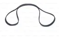BOSCH 1987946255 Keilrippenriemen
