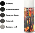 Ofenfarbe 1200 °C Spezial Ofenlack Thermofarbe Ofenspray Kaminfarbe Beschichtung Gussgrau dunkel