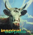Inspiral Carpets She Comes In the Fall 12" vinyl UK Mute 1990 in pic sleeve