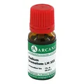 RADIUM bromatum LM 30 Dilution 10 ml