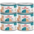 ROYAL CANIN Nassfutter für Katzen, Senior Ageing 15+, Dose 6x85g